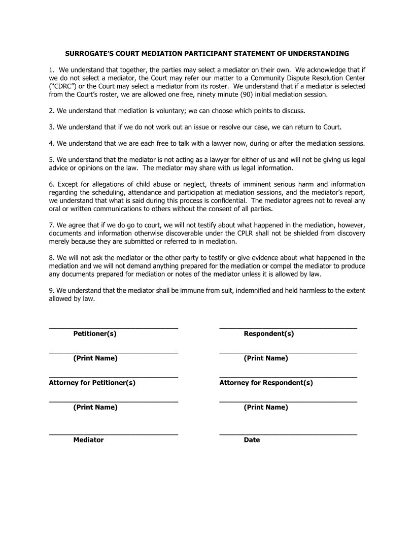 Surrogates Court Mediation Participant Statement Of Understanding {Ki SCMASU} | Pdf Fpdf Docx | New York