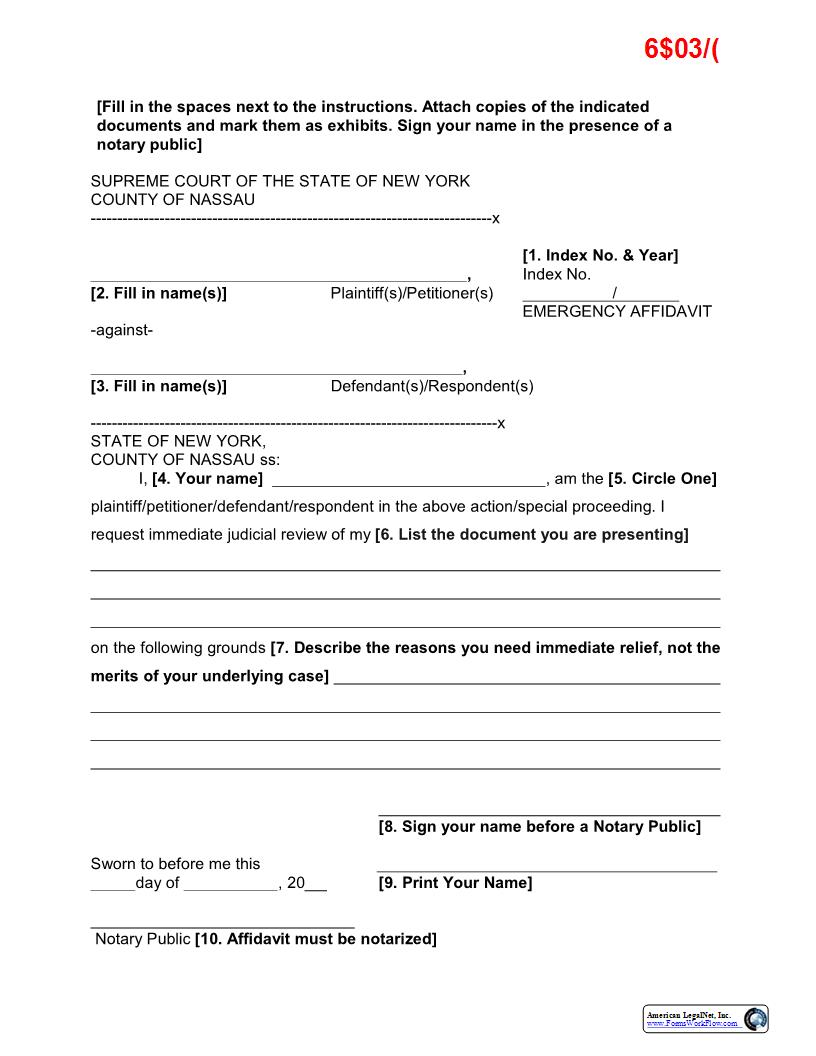 Emergency Affidavit (Sample And Form) | Pdf Fpdf Docx | New York