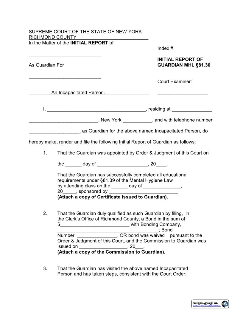 Initial Report of Guardian | Pdf Fpdf Docx | New York