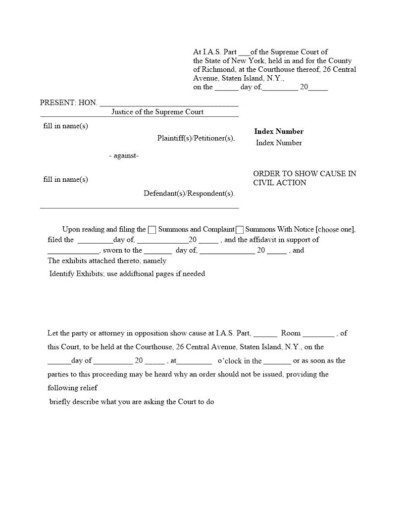 Order To Show Cause In Civil Action | Pdf Fpdf Docx | New York