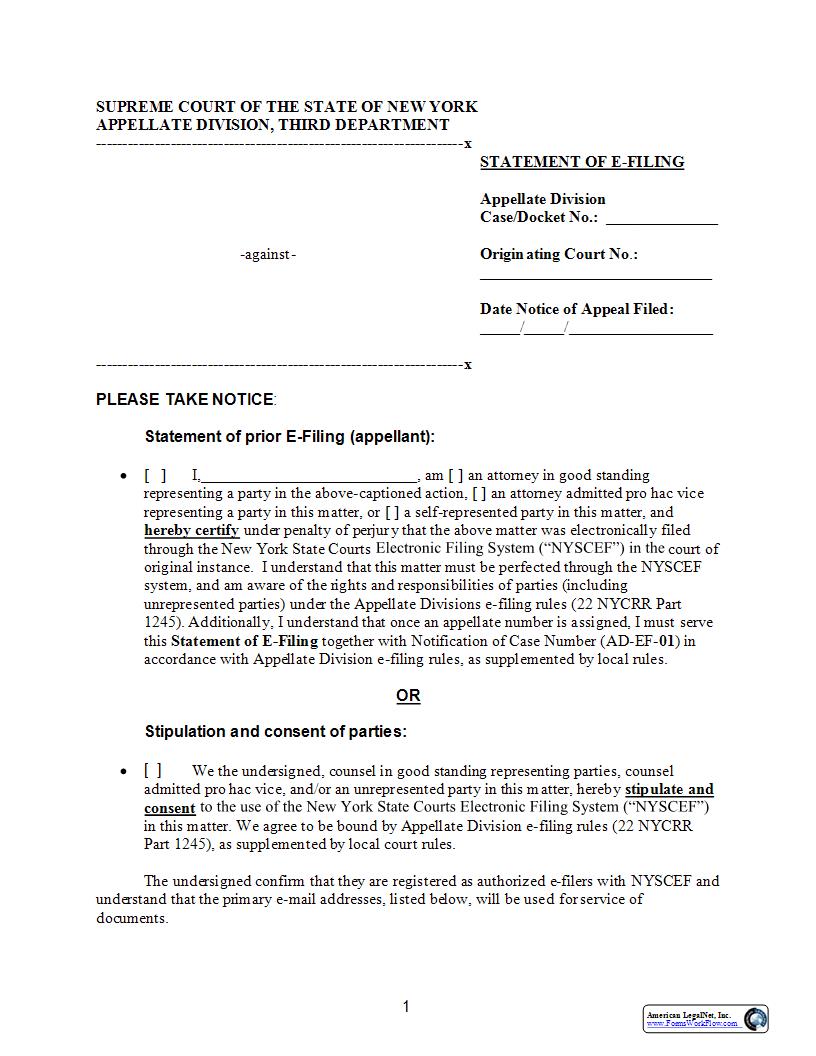 Statement Of E-Filing | Pdf Fpdf Docx | New York