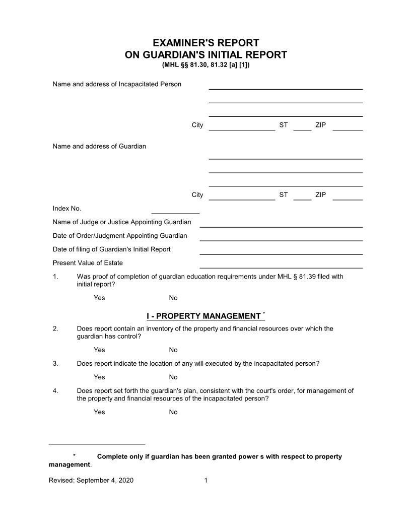 Examiners Report On Guardians Initial Report | Pdf Fpdf Doc Docx | New York