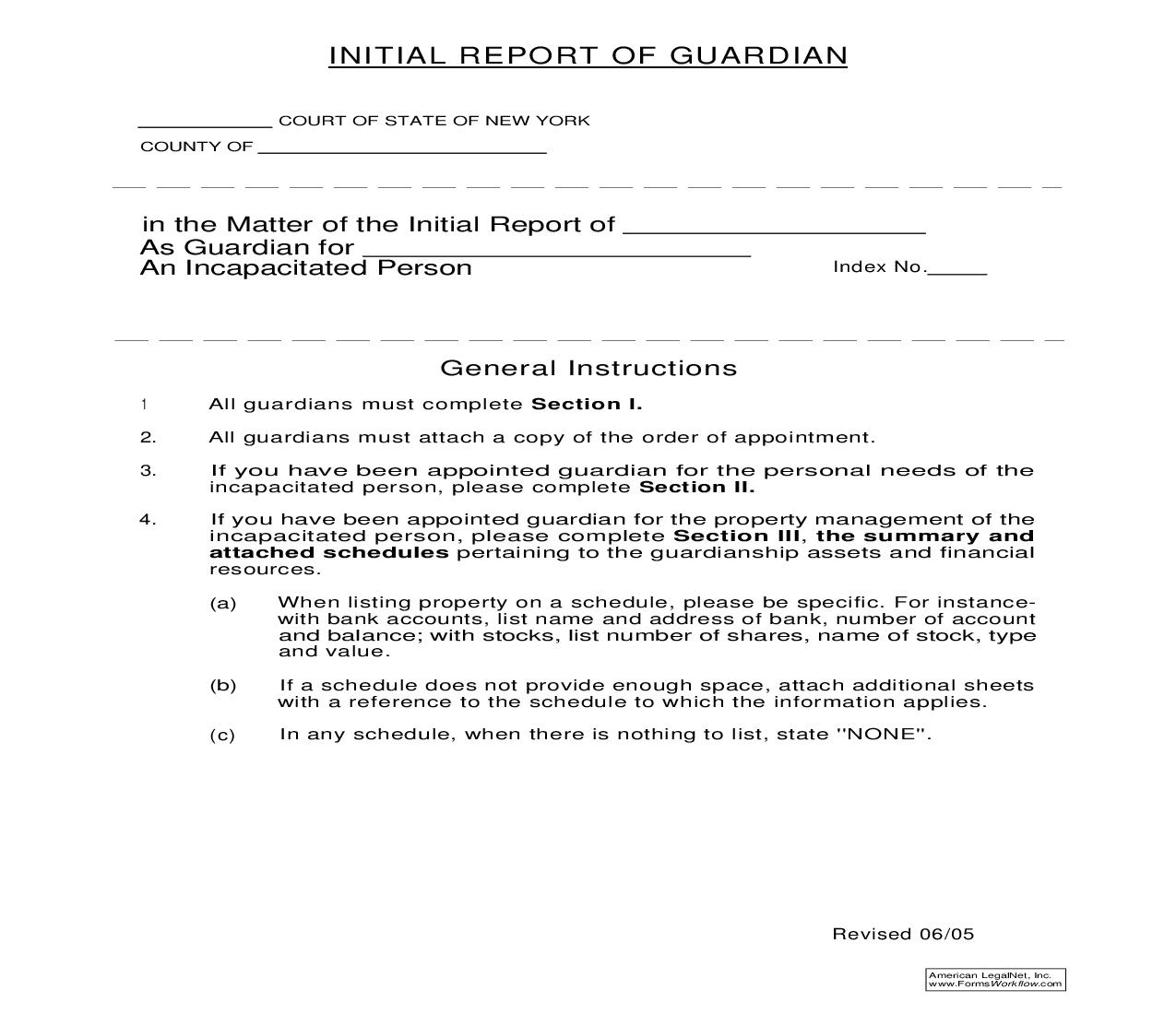 Initial Report Of Guardian | Pdf Fpdf Doc Docx | New York