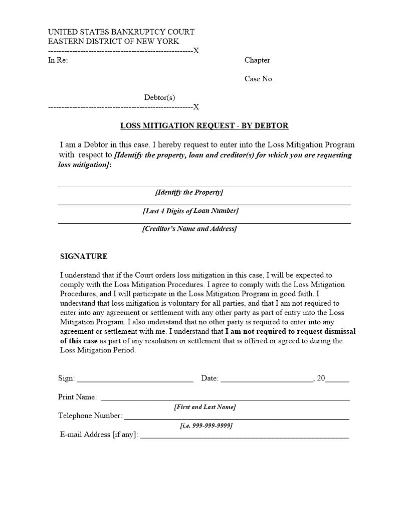Loss Mitigation Request - By Debtor {NYEB LMR-D} | Pdf Fpdf Doc Docx | New York