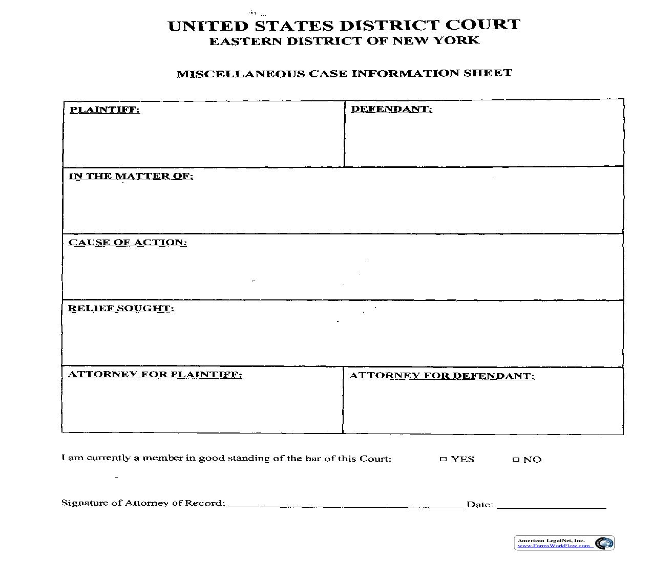 Miscellaneous Case Information Sheet | Pdf Fpdf Doc Docx | New York