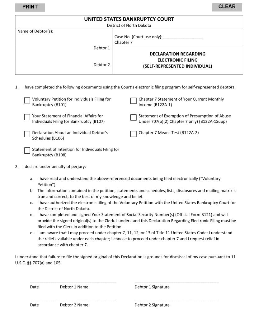 Declaration Regarding Electronic Filing (Self-Represented Individual) | Pdf Fpdf Docx | North Dakota