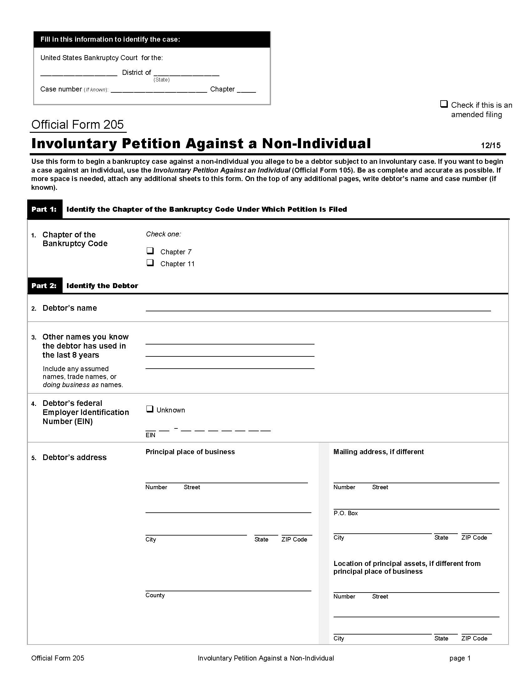 Involuntary Petition Against A Non-Individual {B205} | Pdf Fpdf Doc Docx | Official Federal Forms
