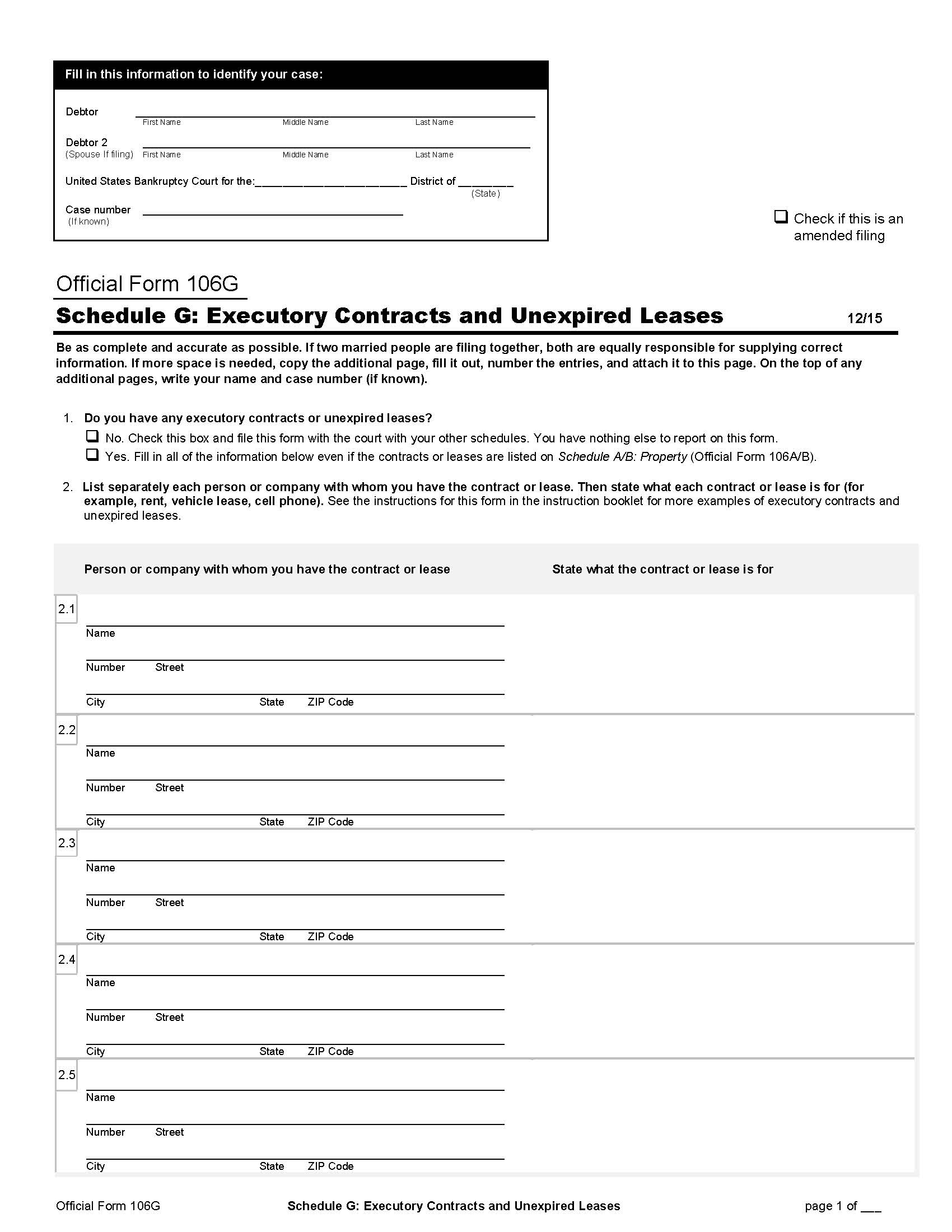 Schedule G-Executory Contracts And Unexpired Leases (Individuals) {B106G} | Pdf Fpdf Doc Docx | Official Federal Forms