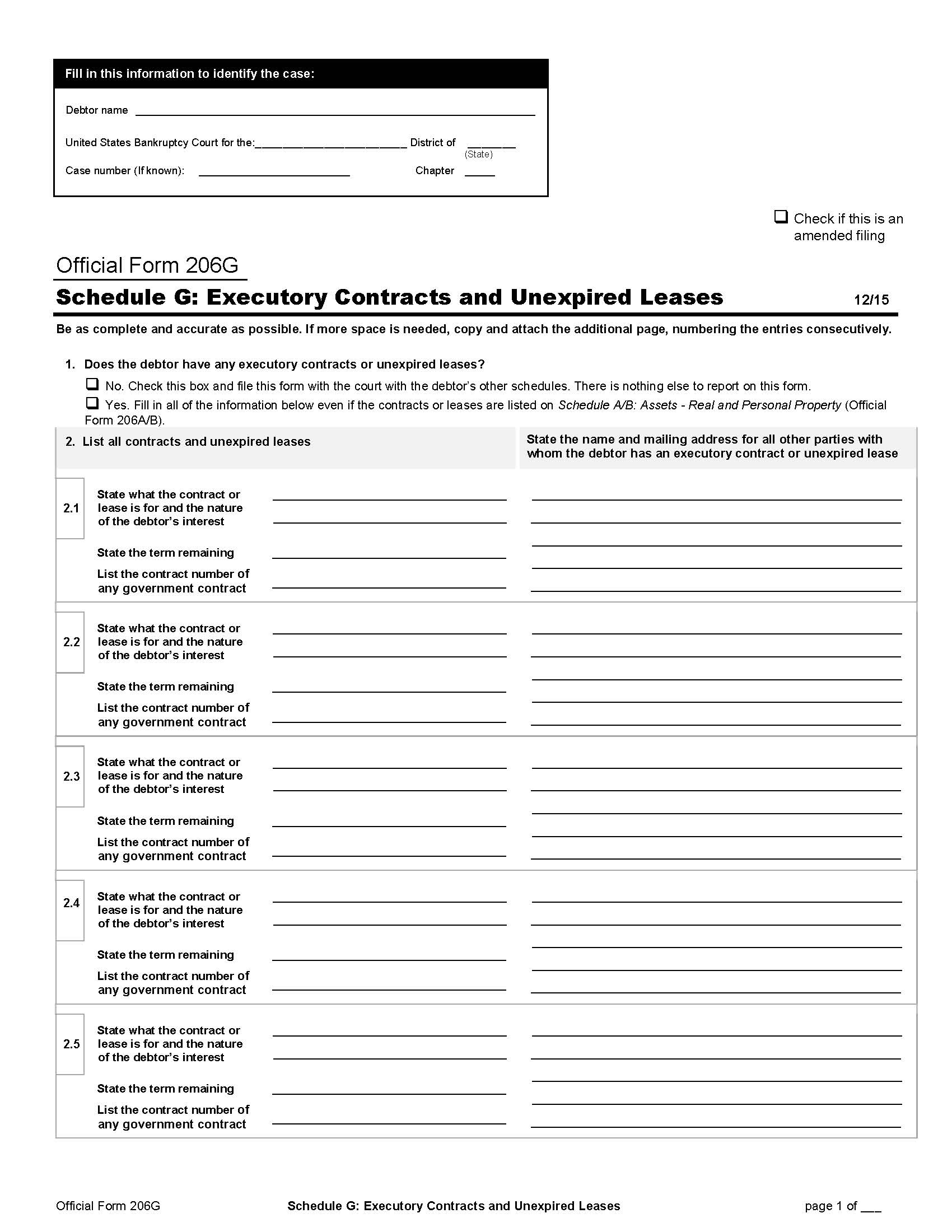 Schedule G-Executory Contracts And Unexpired Leases (Non-Individuals) {B206G} | Pdf Fpdf Doc Docx | Official Federal Forms
