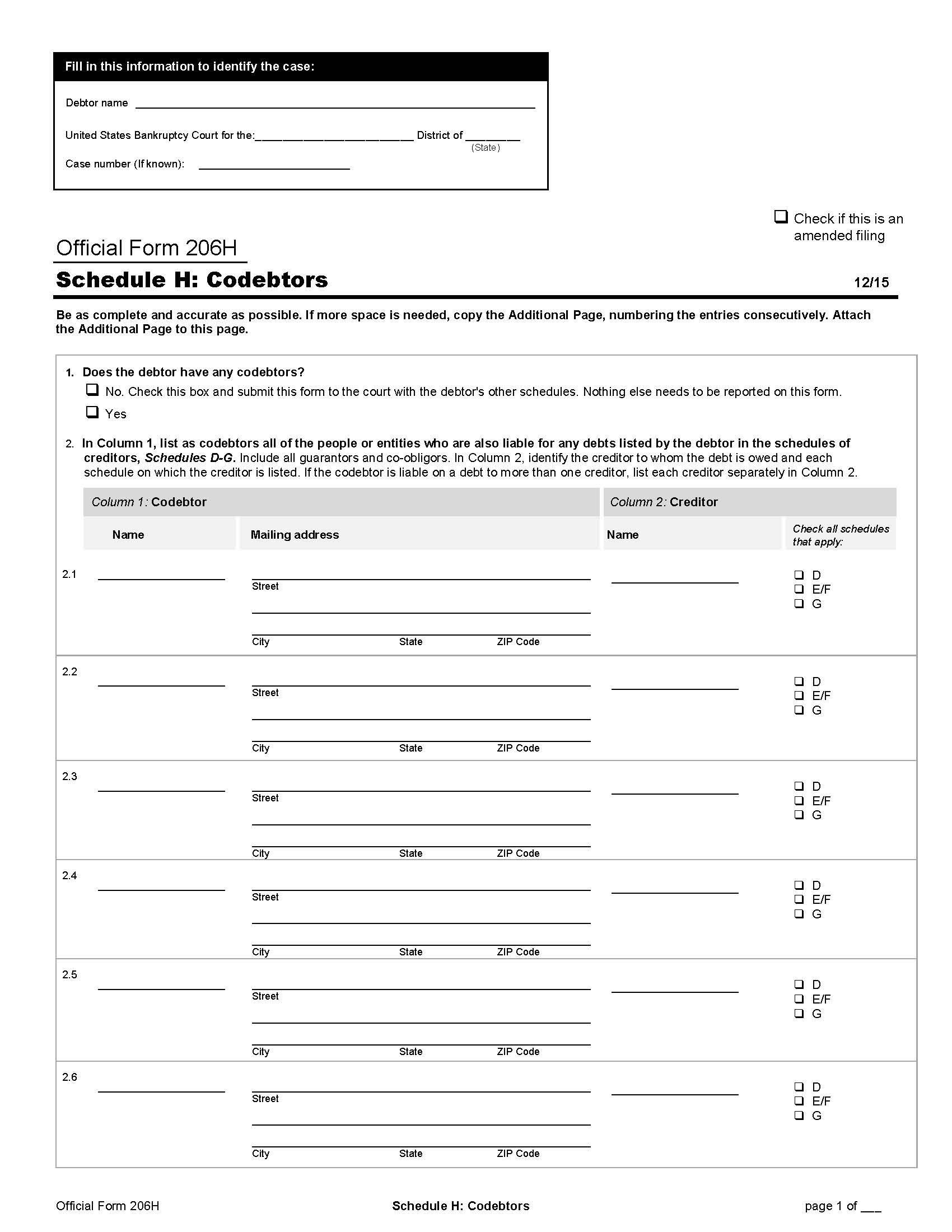 Schedule H-Codebtors (Non-Individuals) {B206H} | Pdf Fpdf Doc Docx | Official Federal Forms
