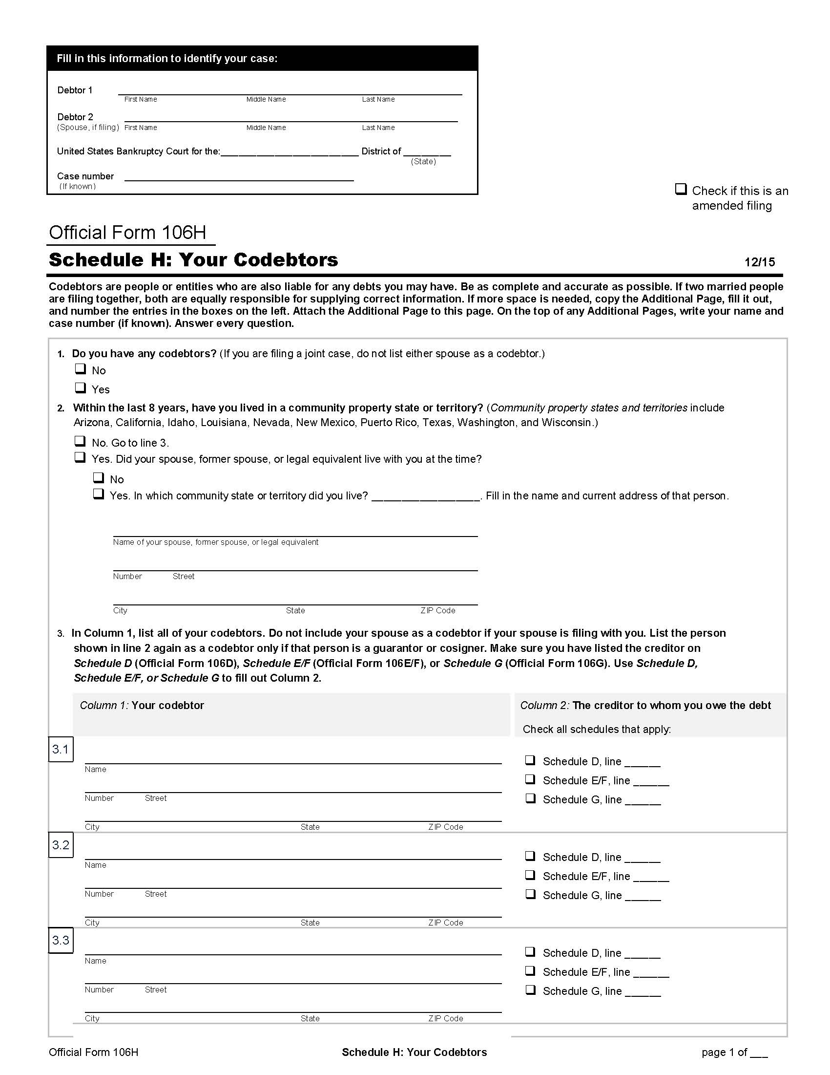 Schedule H-Your Codebtors (Individuals) {B106H} | Pdf Fpdf Doc Docx | Official Federal Forms