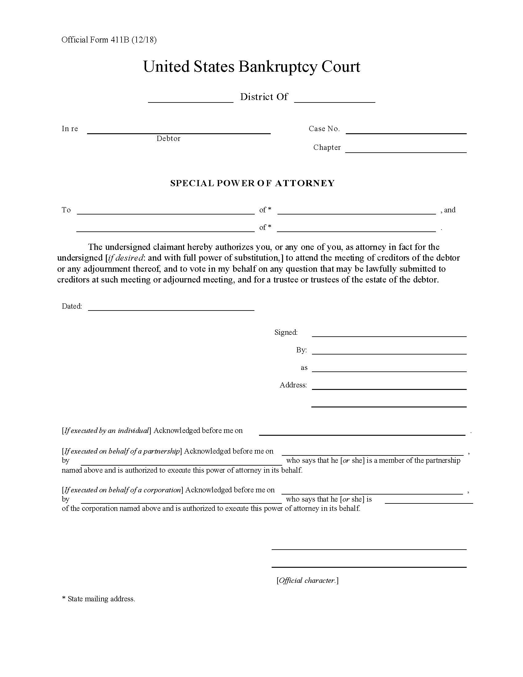 Special Power Of Attorney {B411B} | Pdf Fpdf Docx | Official Federal Forms