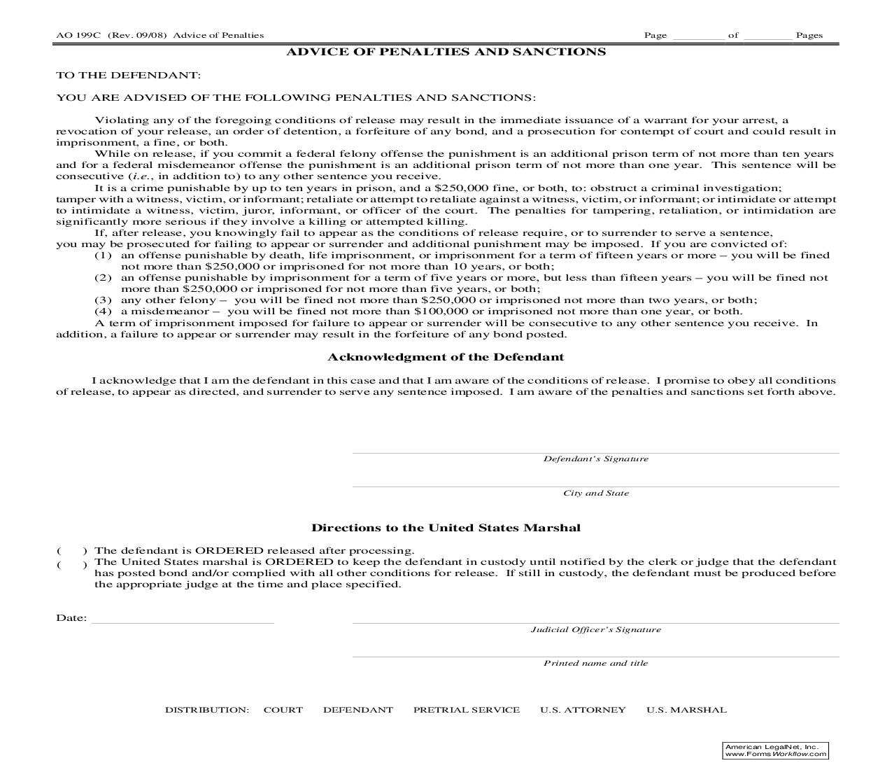 Advice Of Penalties And Sanctions {AO 199C} | Pdf Fpdf Doc Docx | Official Federal Forms