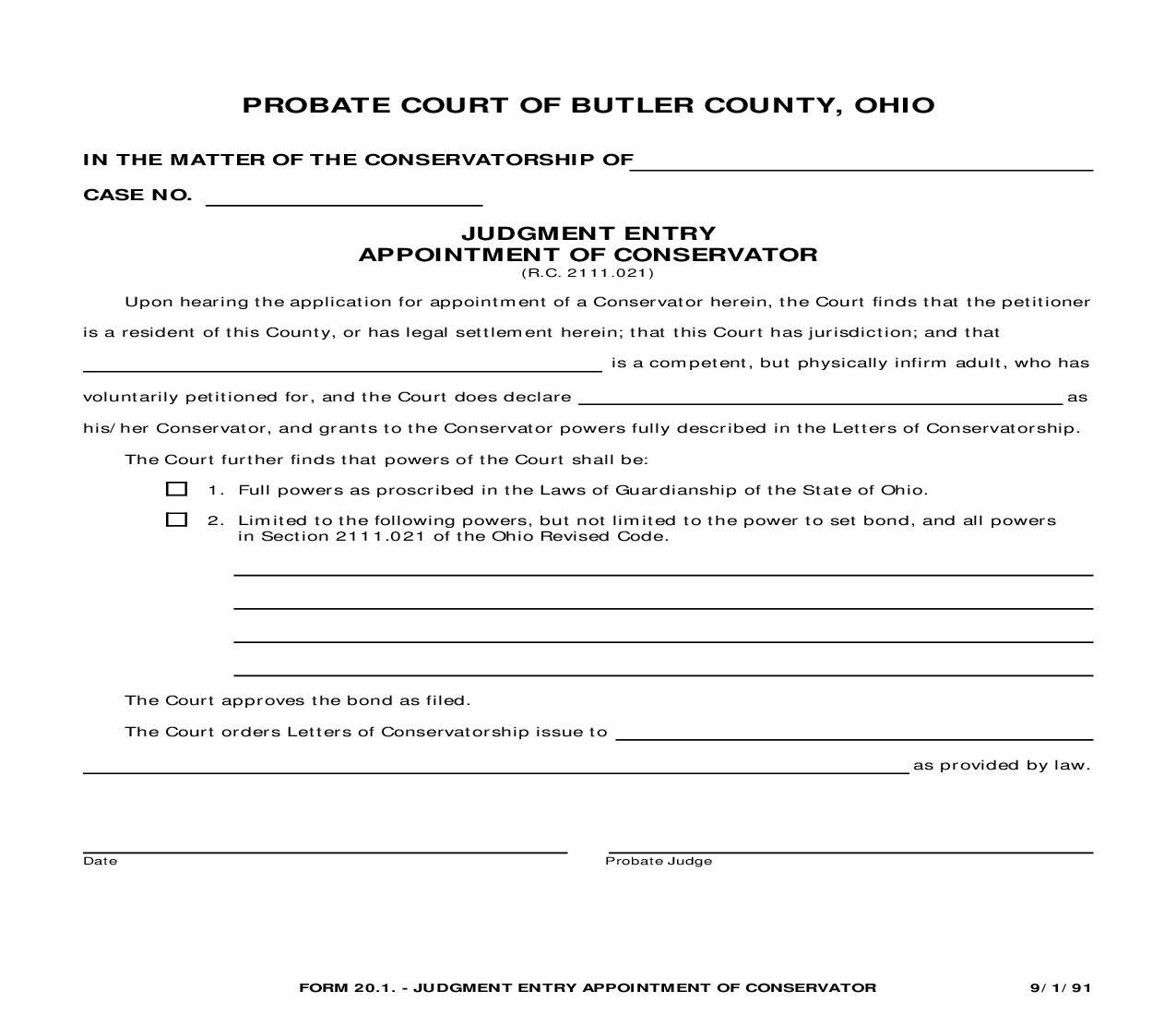Judgment Entry Appointment Of Conservator {20.1} | Pdf Docx | Ohio