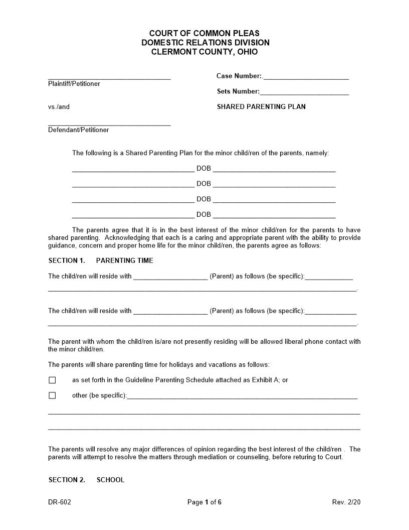 Shared Parenting Plan {DR-602} | Pdf Fpdf Docx | Ohio