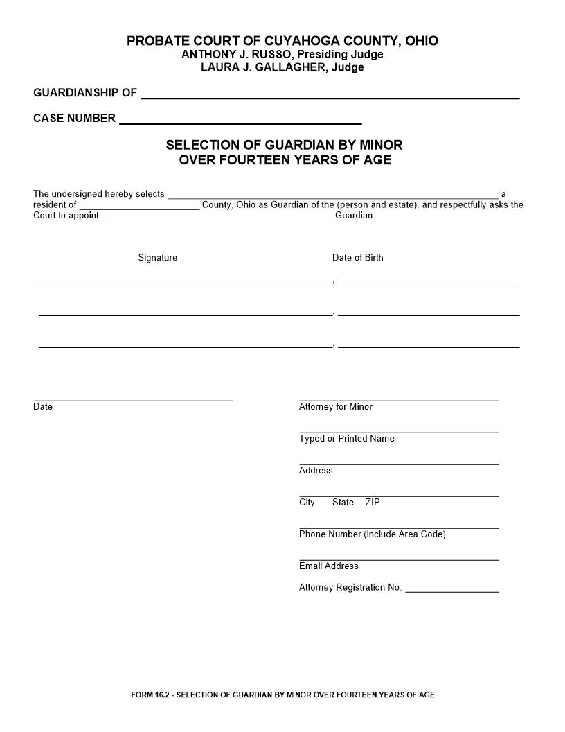 Selection Of Guardian By Minor Over Fourteen Years Of Age | Pdf Fpdf Doc Docx | Ohio