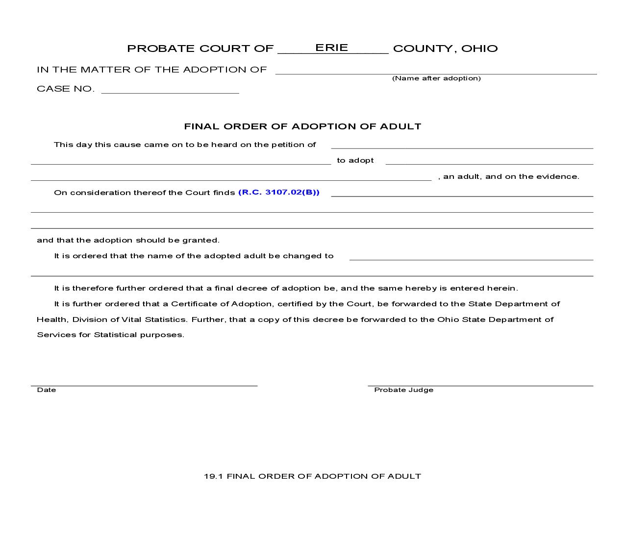 Final Order Of Adoption Of Adult {19.1} | Pdf Fpdf Doc Docx | Ohio