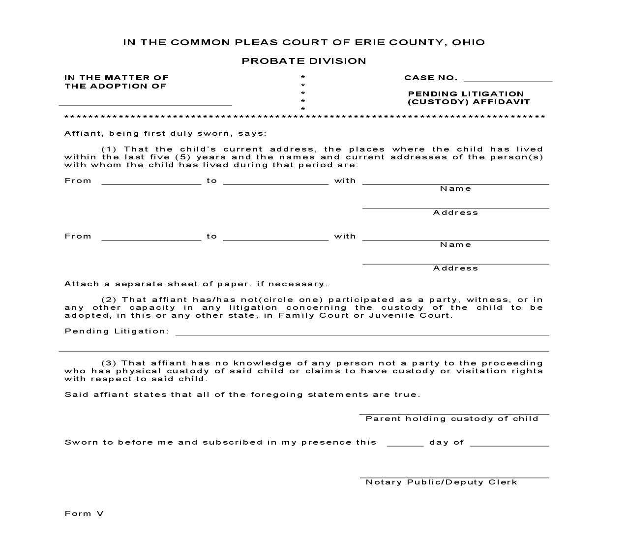 Pending Litigation Custody Affidavit {Form V} | Pdf Fpdf Doc Docx | Ohio