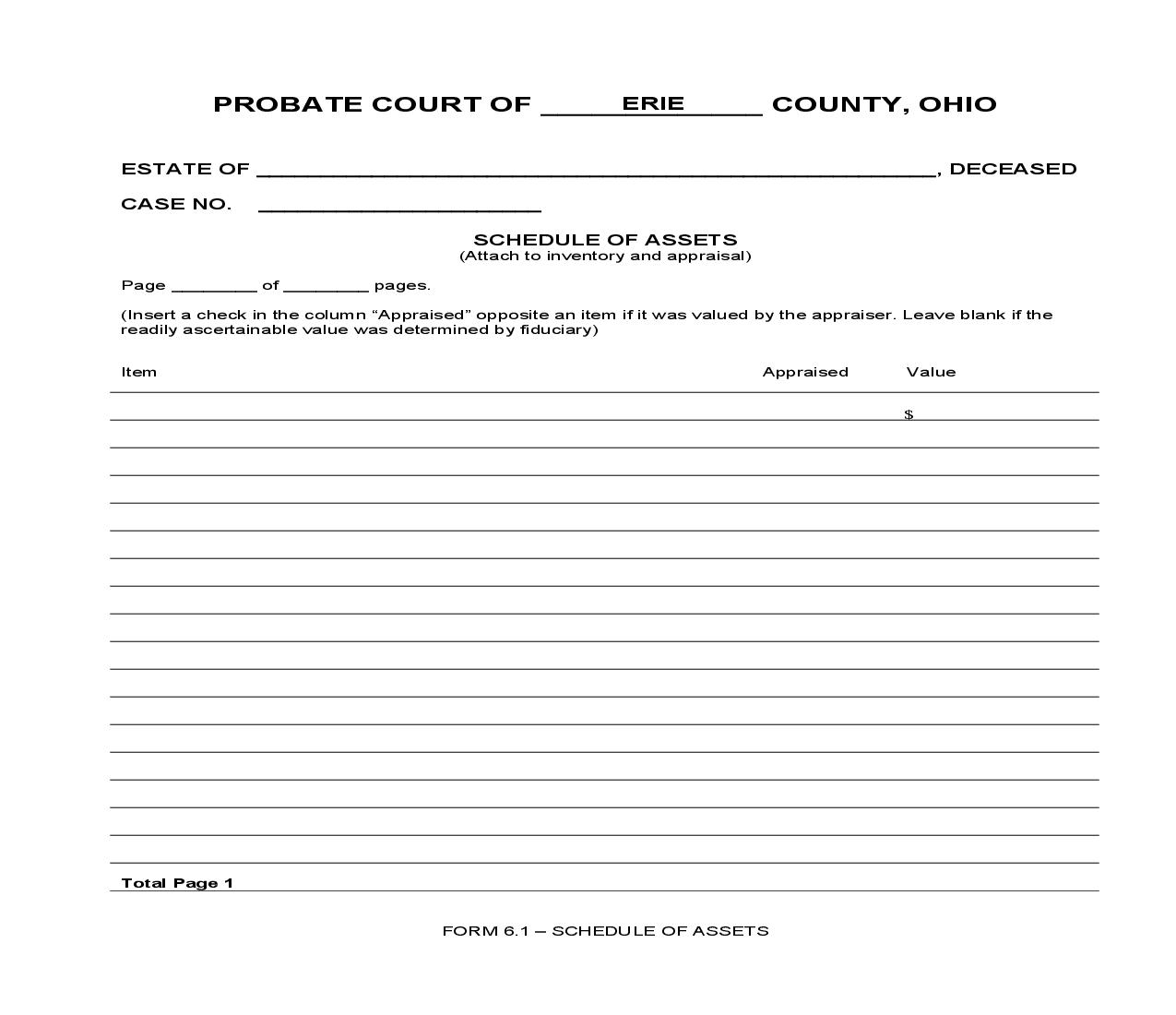 Schedule Of Assets {6.1} | Pdf Fpdf Doc Docx | Ohio