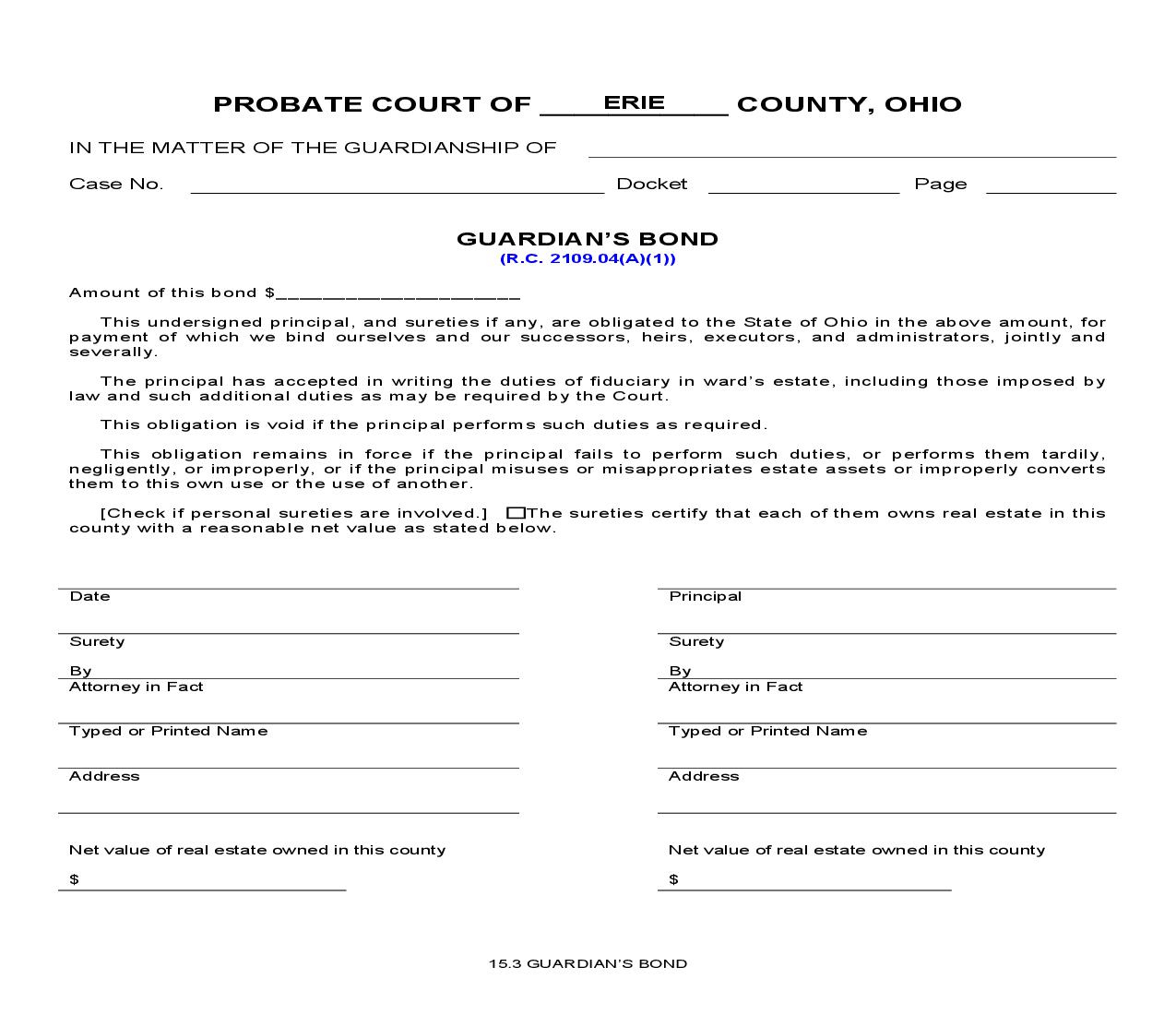 Guardians Bond {15.3} | Pdf Fpdf Doc Docx | Ohio