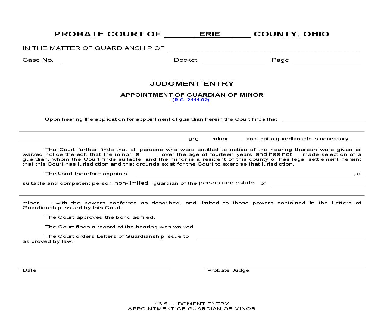 Judgment Entry Appointment Of Guardian Of Minor {16.5} | Pdf Fpdf Doc Docx | Ohio