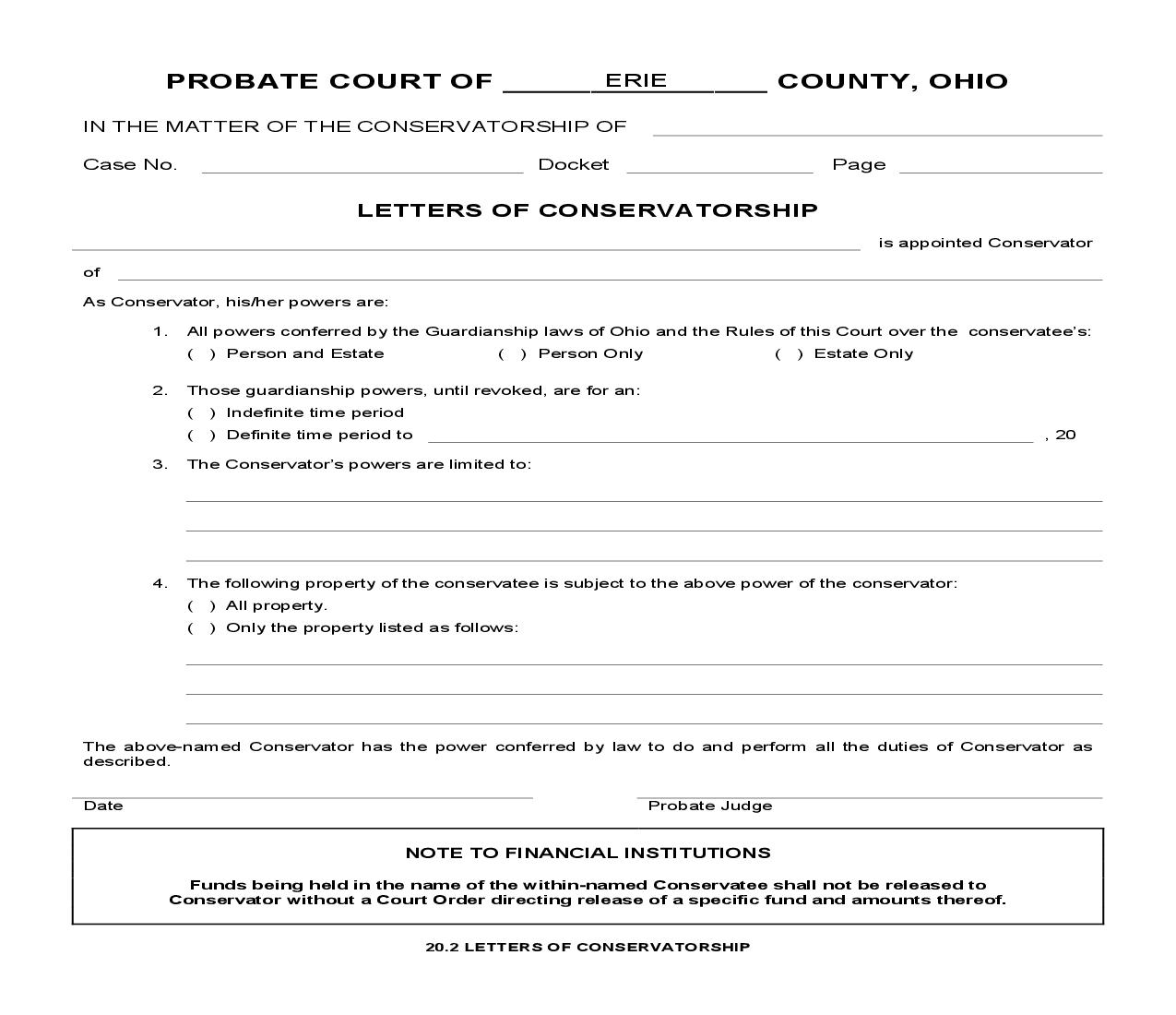Letters Of Conservatorship {20.2} | Pdf Fpdf Doc Docx | Ohio