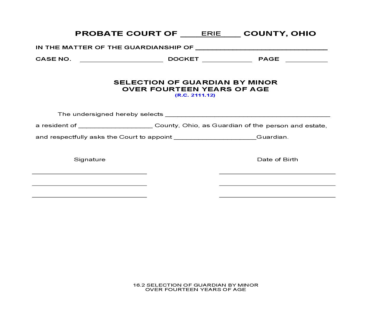 Selection Of Guardian By Minor Over Fourteen Years of Age {16.2} | Pdf Fpdf Doc Docx | Ohio