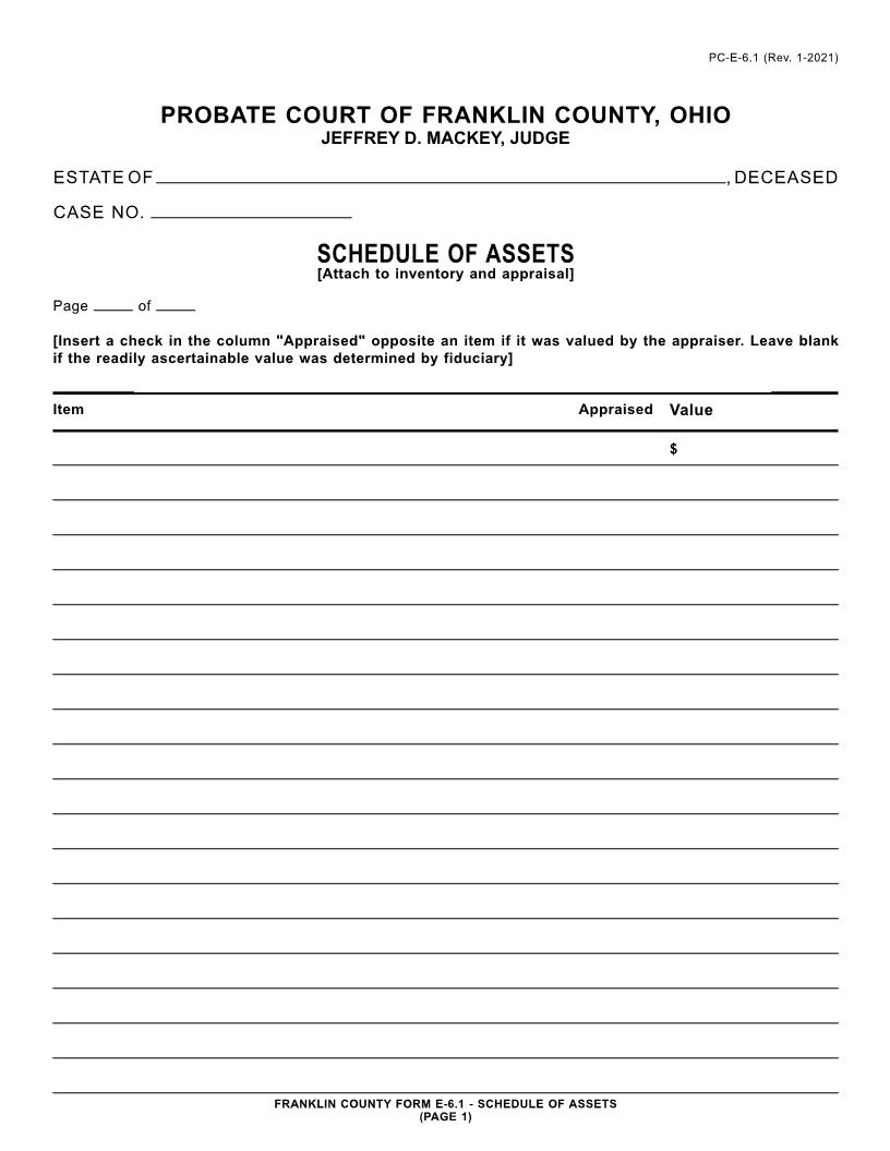 Schedule Of Assets {6.1} | Pdf Fpdf Doc Docx | Ohio