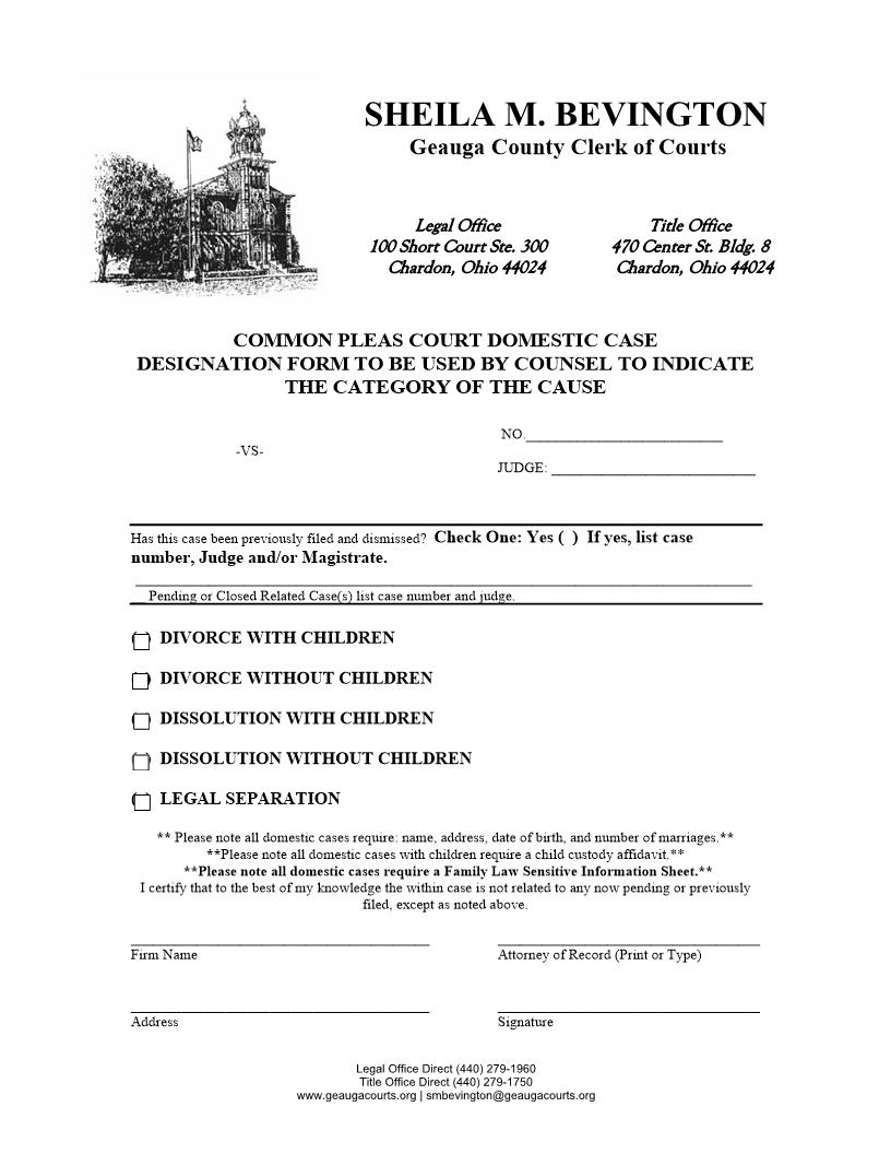 Domestic Case Designation Form | Pdf Fpdf Doc Docx | Ohio