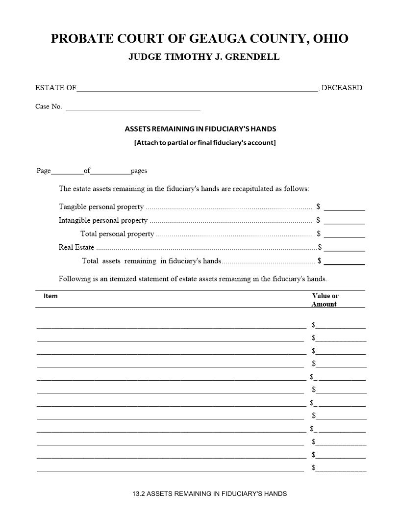 Assets Remaining In Fiduciarys Hands {13.2} | Pdf Fpdf Doc Docx | Ohio