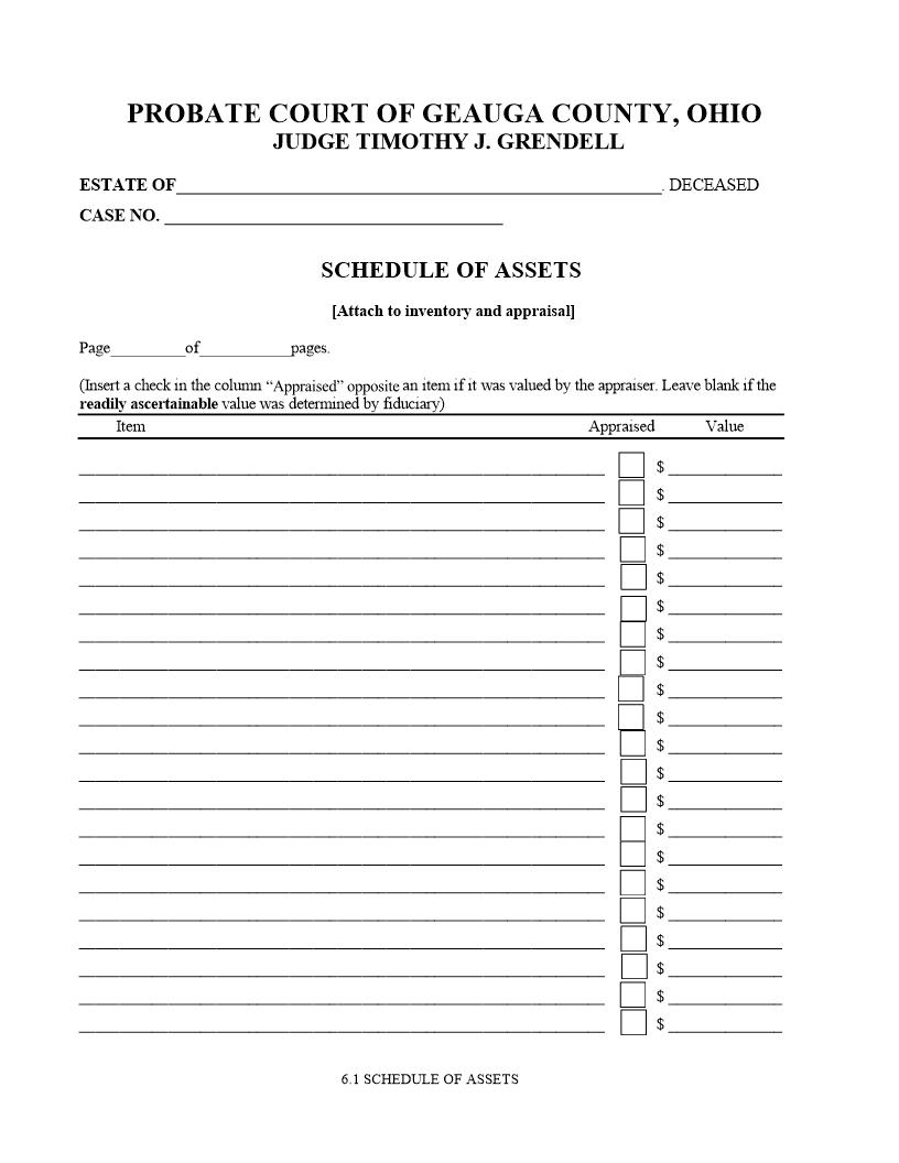 Schedule Of Assets {6.1} | Pdf Fpdf Doc Docx | Ohio