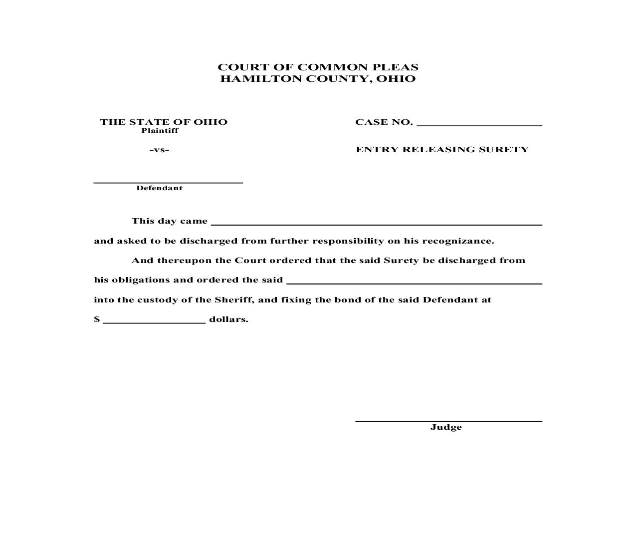 Entry Releasing Surety | Pdf Fpdf Doc Docx | Ohio