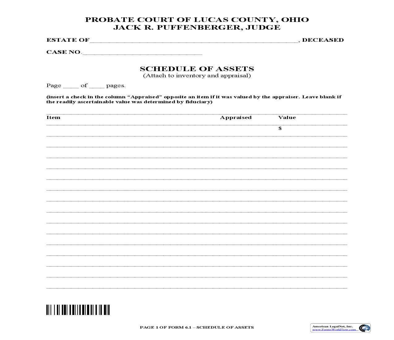 Schedule Of Assets {6.1} | Pdf Fpdf Doc Docx | Ohio