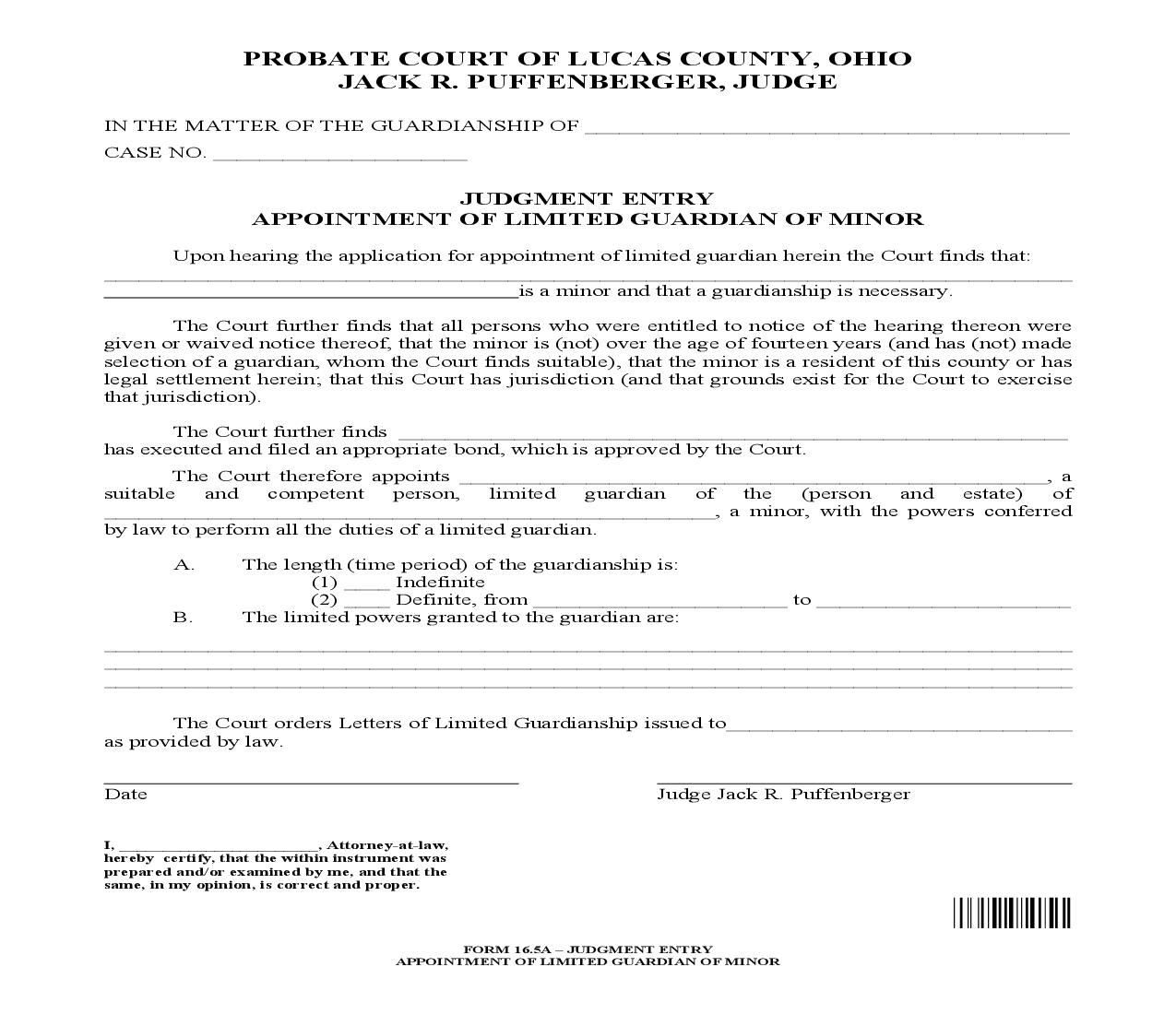 Judgment Entry Appointment Of Limited Guardian Of Minor {16.5A} | Pdf Fpdf Doc Docx | Ohio