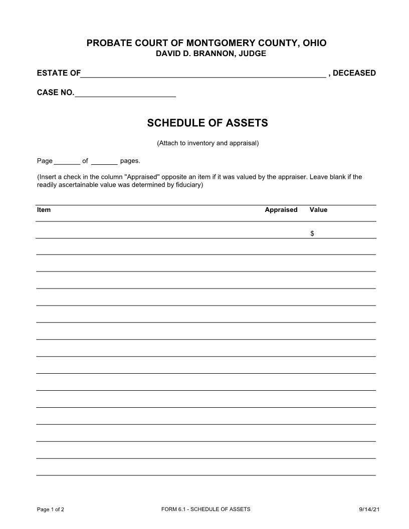 Schedule Of Assets {6.1} | Pdf Fpdf Doc Docx | Ohio