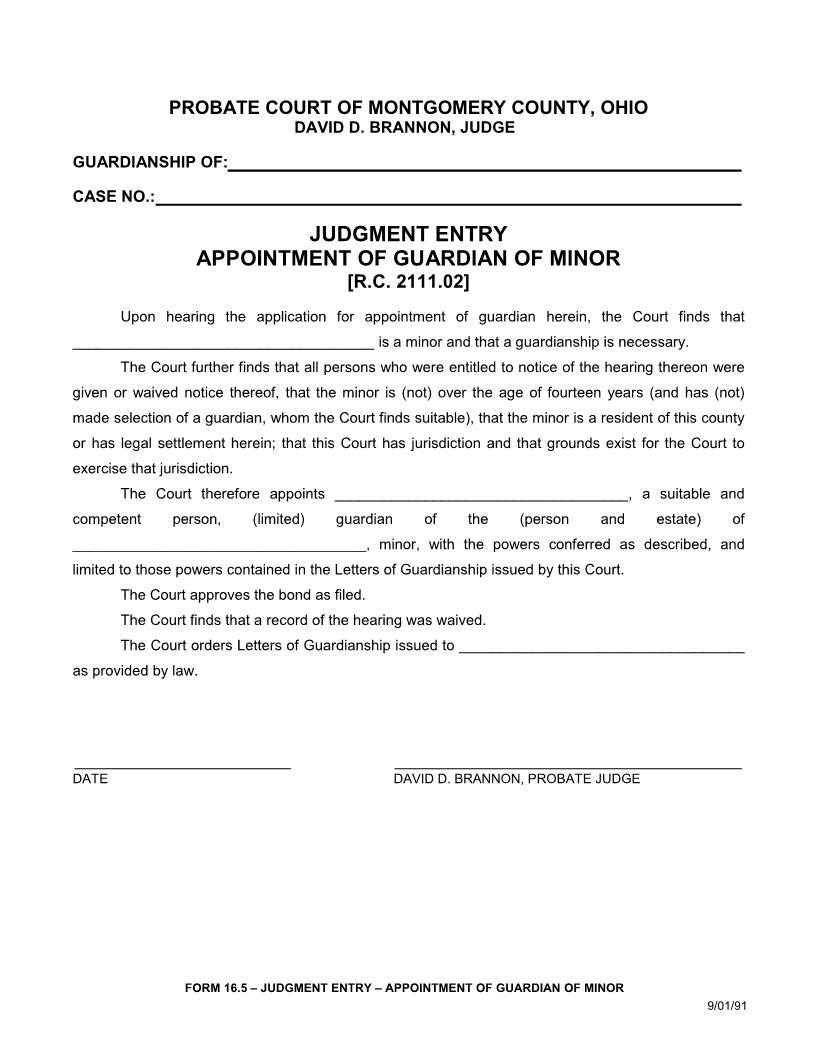 Judgment Entry Appointment Of Guardian Of Minor {16.5A} | Pdf Fpdf Doc Docx | Ohio