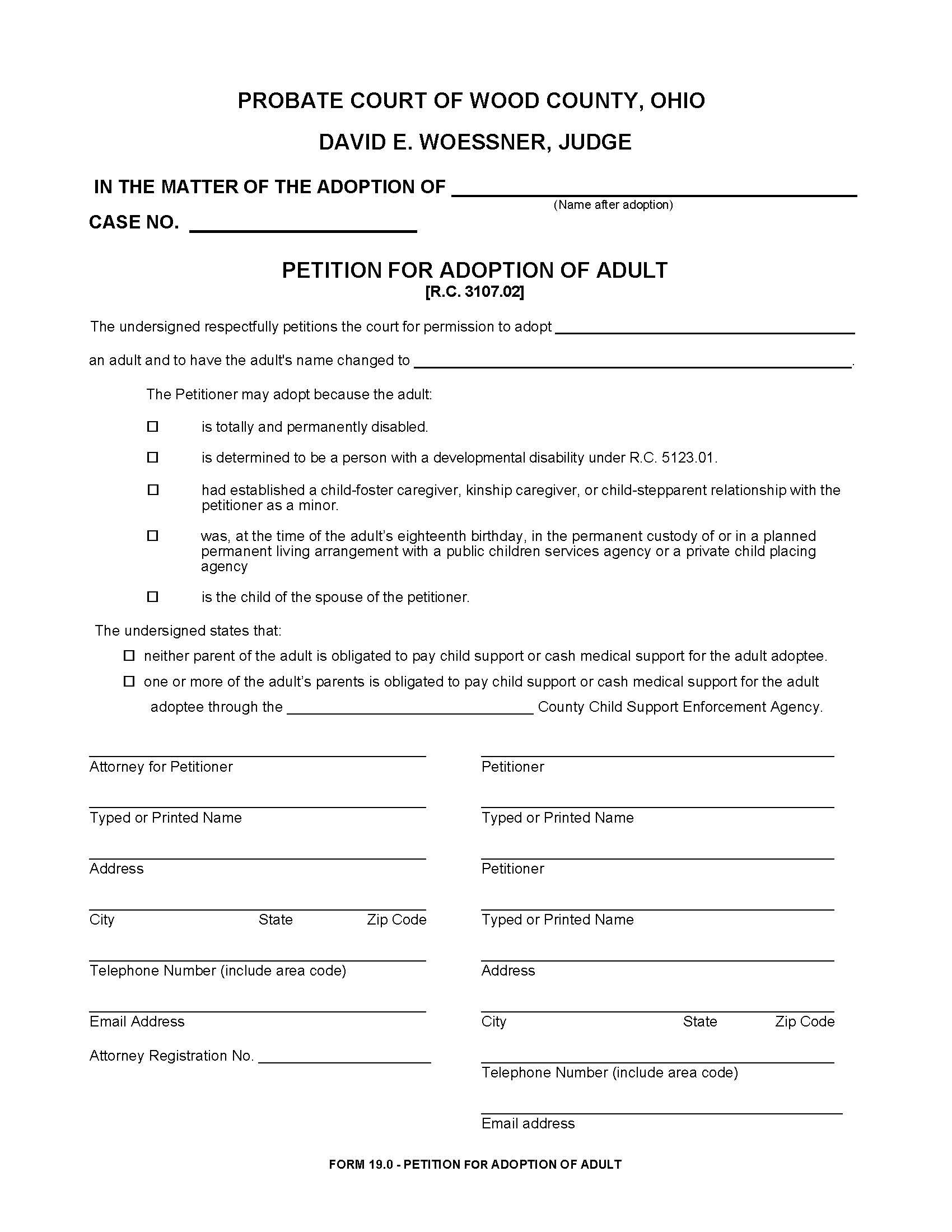 Petition For Adoption Of Adult {19.0} | Pdf Fpdf Docx | Ohio