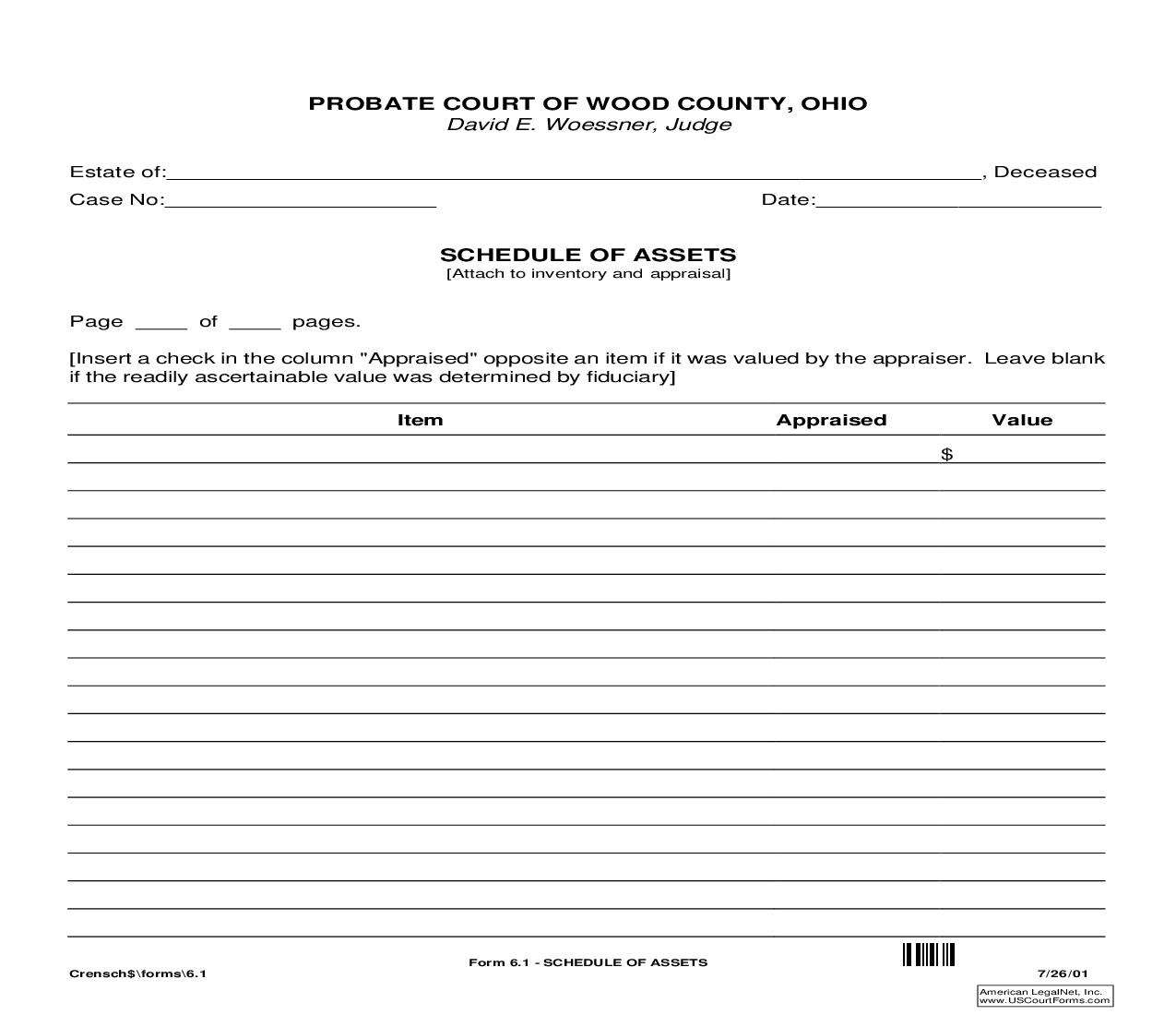 Schedule Of Assets {6.1} | Pdf Fpdf Doc Docx | Ohio