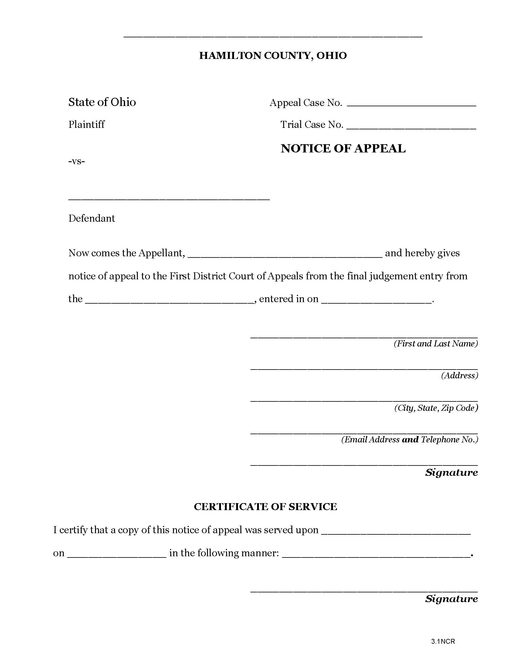 Notice Of Appeal (Criminal) {3.1NCR} | Pdf Fpdf Doc Docx | Ohio