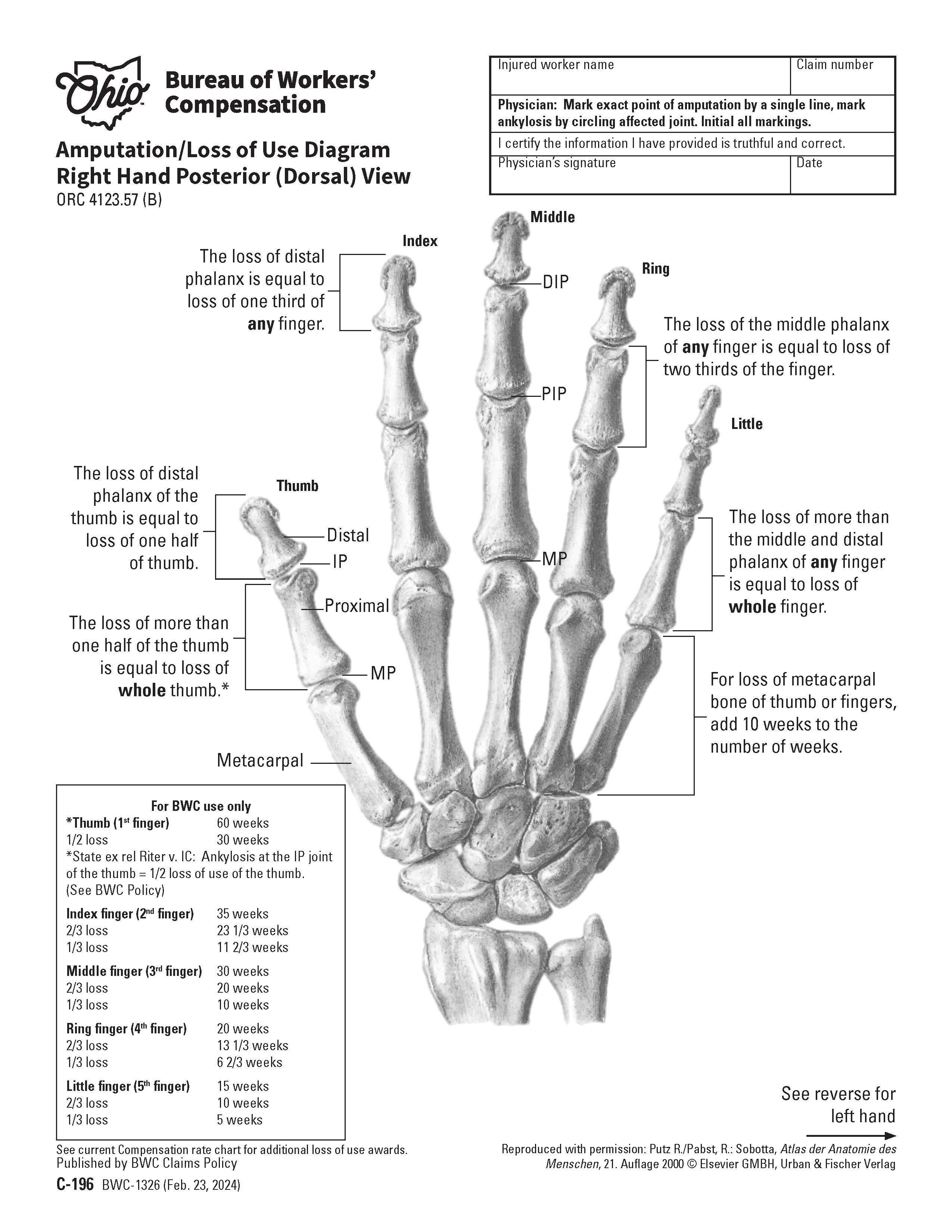 Amputation Loss Of Use Diagram {BWC-1326} | Pdf Fpdf Docx | Ohio