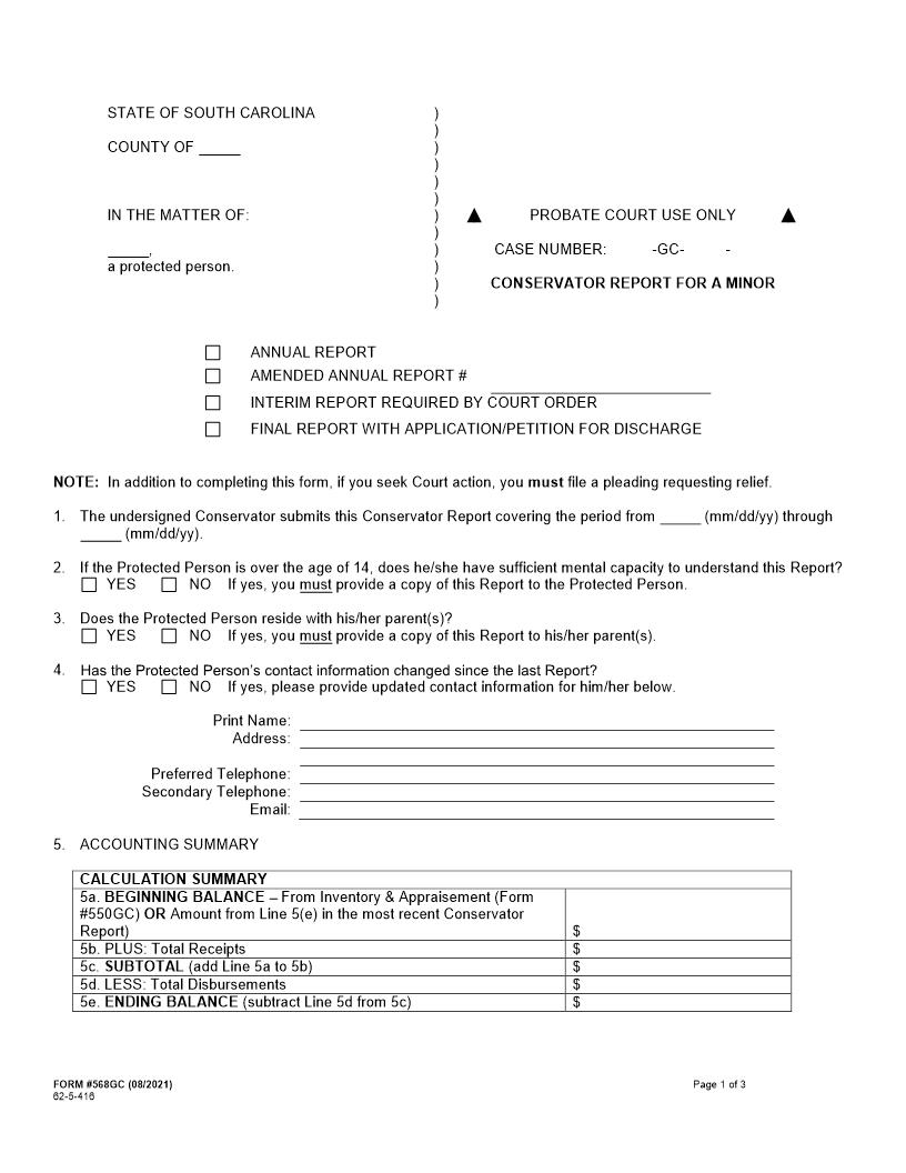 Conservator Report For A Minor {568GC} | Pdf Fpdf Docx | South Carolina