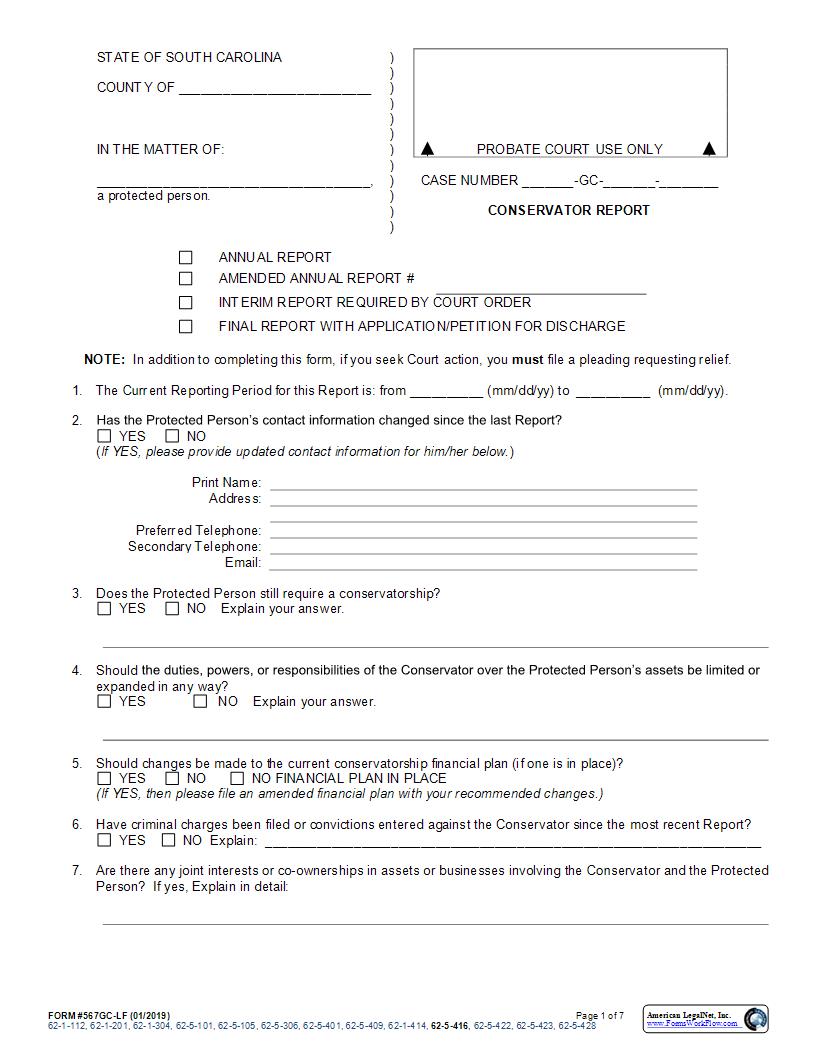 Conservator Report-Long Form {567GC-LF} | Pdf Fpdf Docx | South Carolina