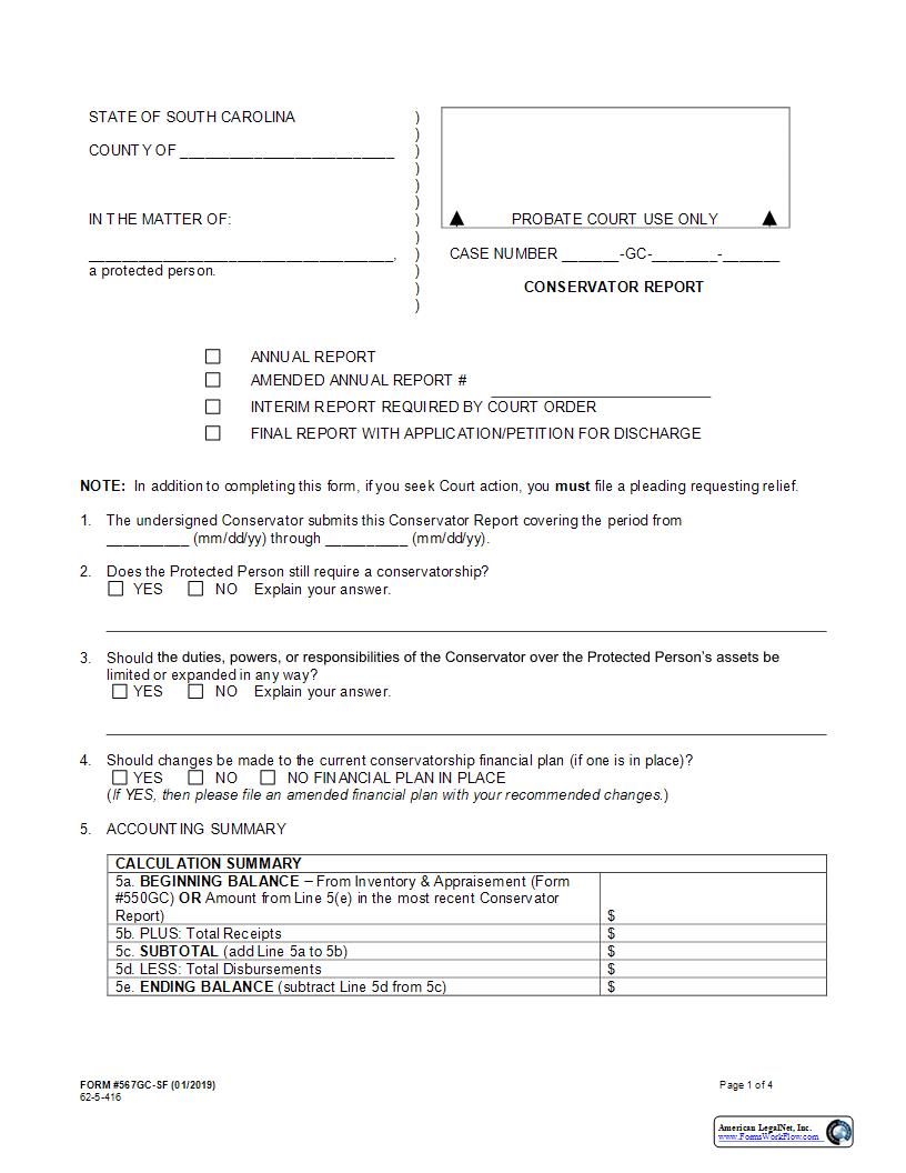 Conservator Report-Short Form {567GC-SF} | Pdf Fpdf Docx | South Carolina