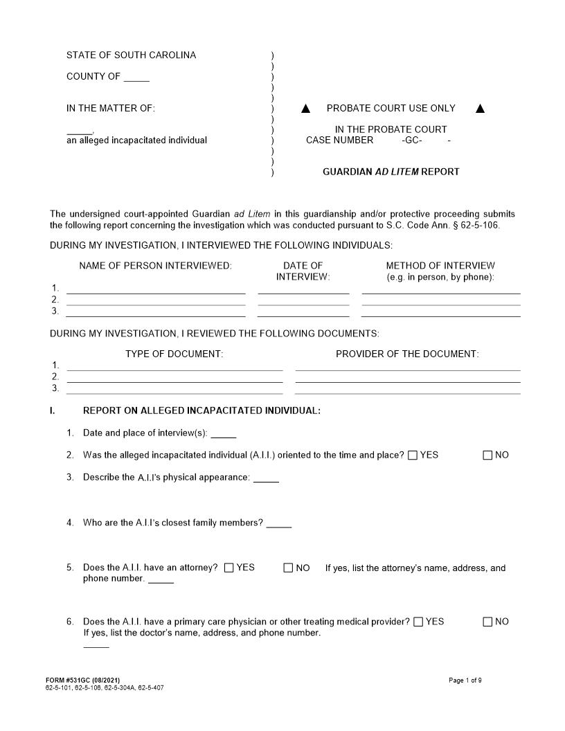 Guardian Ad Litem Report {531GC} | Pdf Fpdf Docx | South Carolina