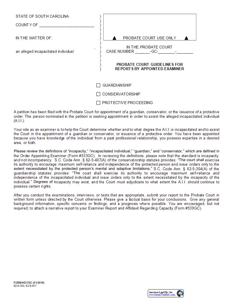 Guidelines For Reports By Appointed Examiner {537GC} | Pdf Fpdf Docx | South Carolina