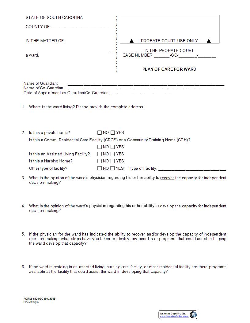 Plan Of Care For Ward {521GC} | Pdf Fpdf Docx | South Carolina