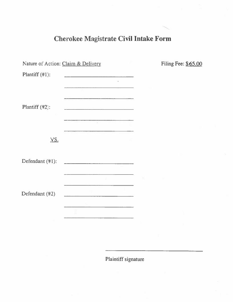 Civil Intake Form (Claim And Delivery) | Pdf Fpdf Docx | South Carolina