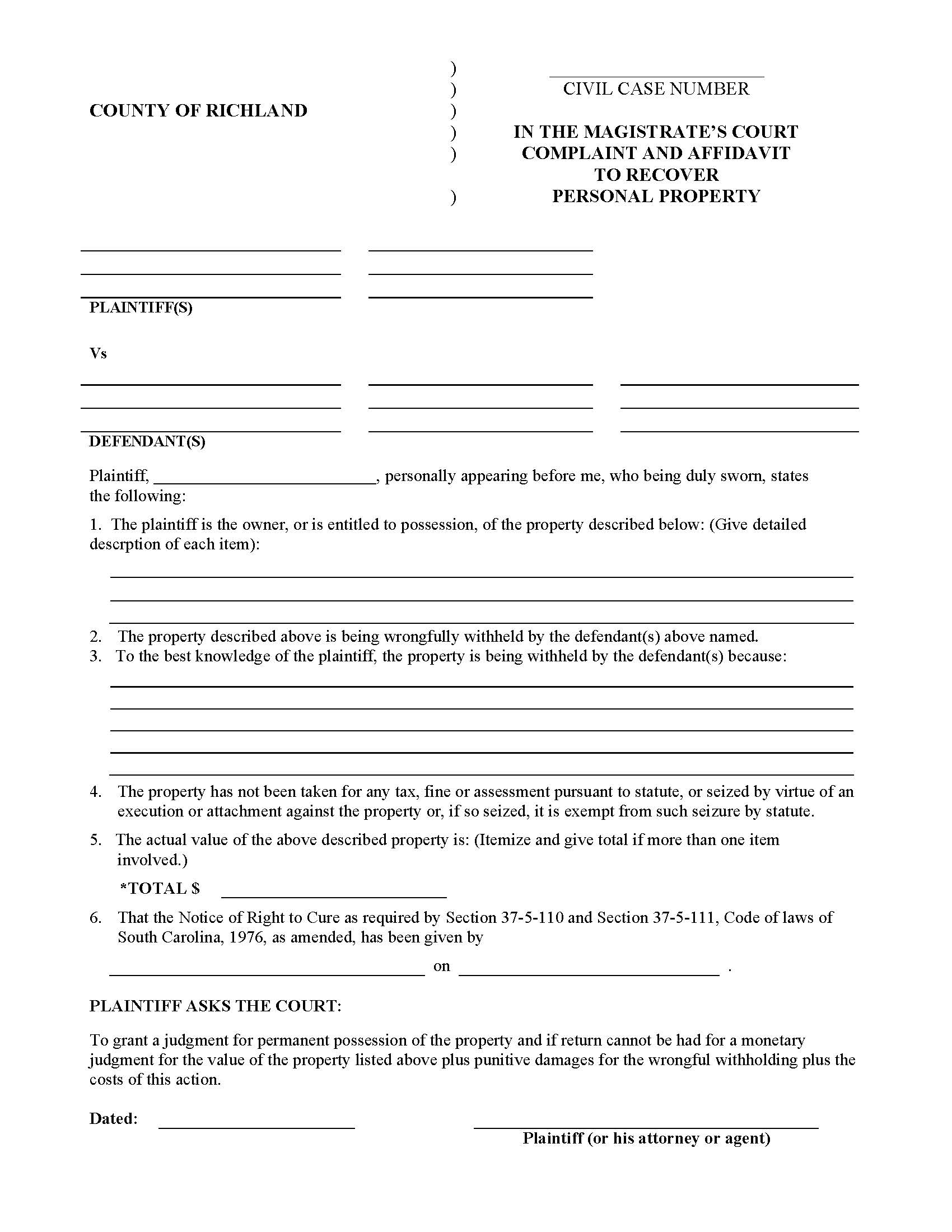 Basic Affidavit | Pdf Fpdf Doc Docx | South Carolina