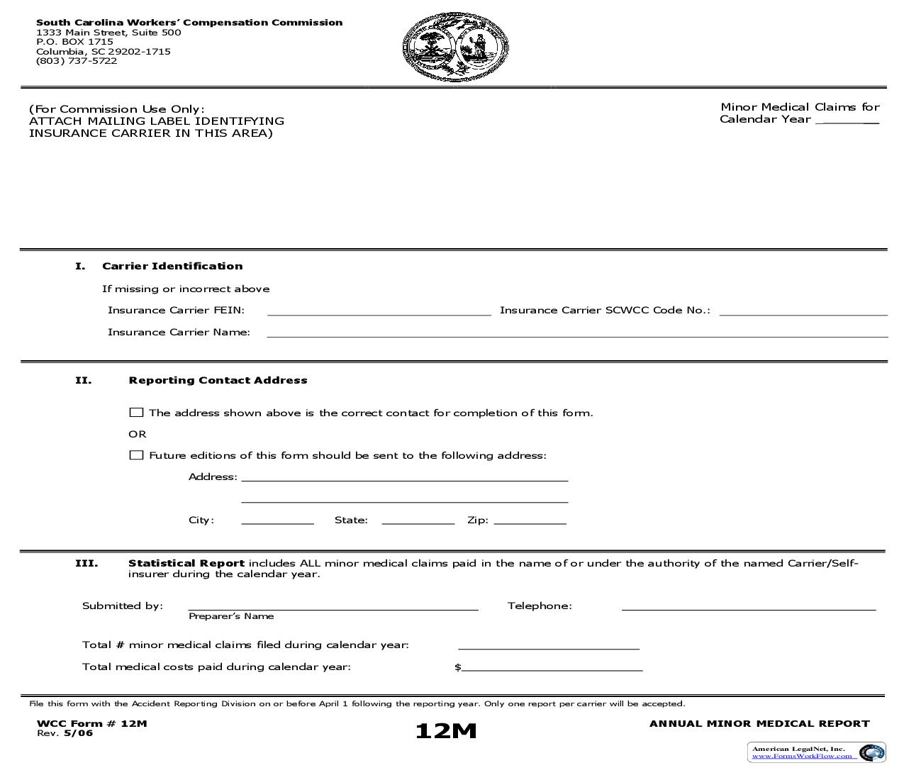 Annual Minor Medical Report {12M} | Pdf Fpdf Doc Docx | South Carolina