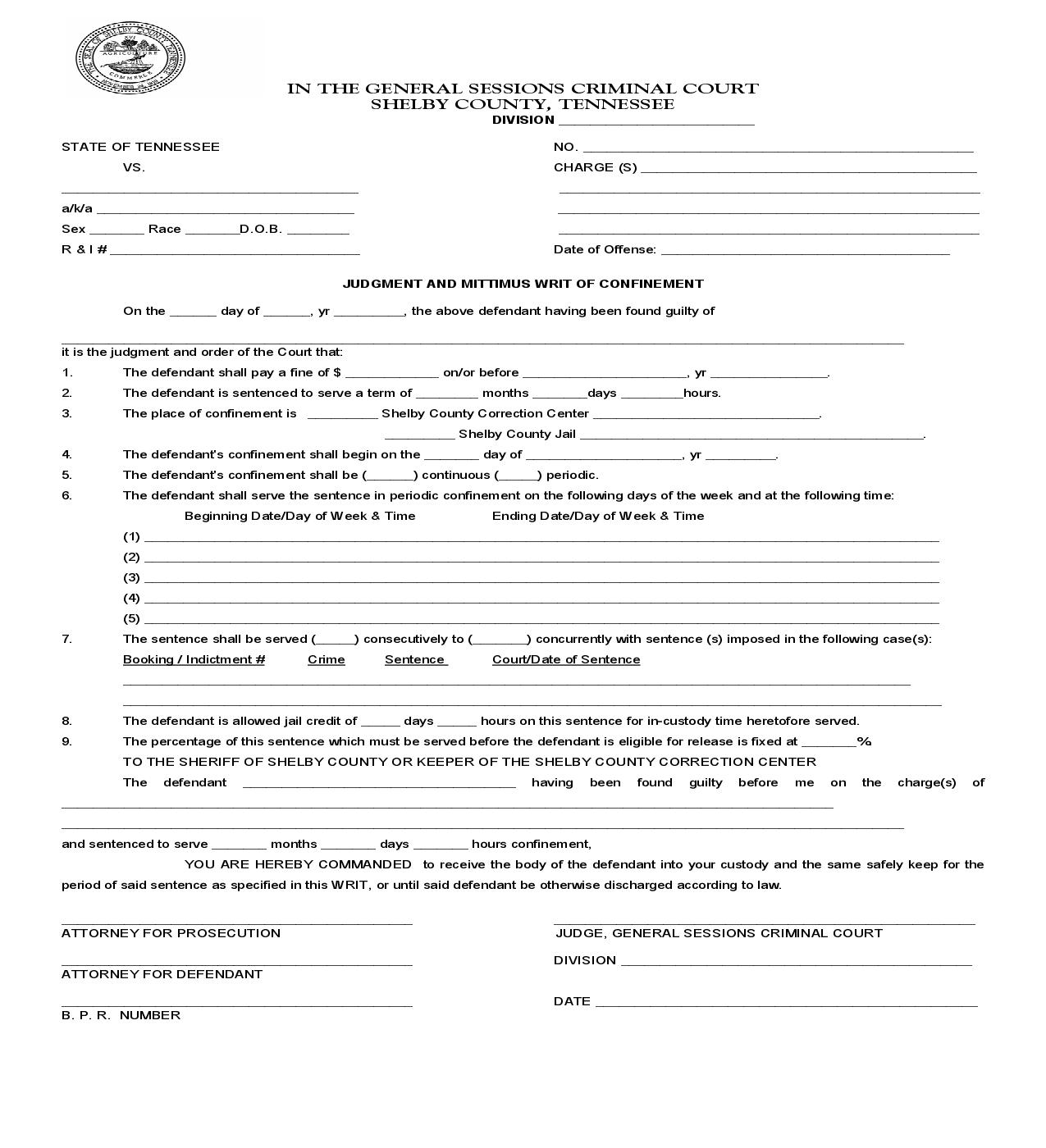 Judgment And Mittimus Writ Of Confinement | Pdf Fpdf Doc Docx | Tennessee